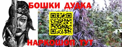 гидра Малгобек