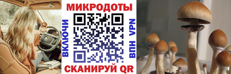 Псилоцибиновые грибы мицелий  закладка  Выкса 