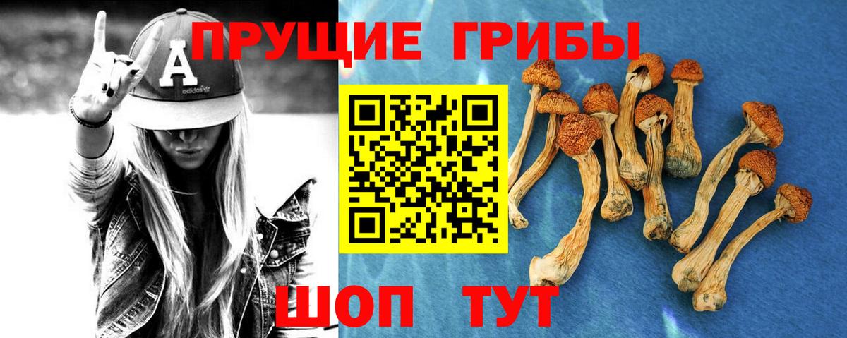 Выкса  наркотики  Галлюциногенные грибы Psilocybe  Вход с VPN  Псилоцибиновые грибы ЛСД 